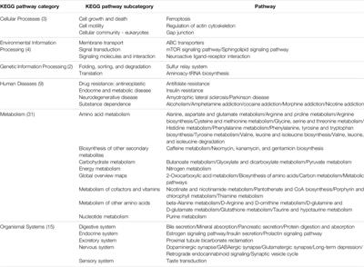 Integrative Pathway Analysis of SNP and Metabolite Data Using a Hierarchical Structural Component Model